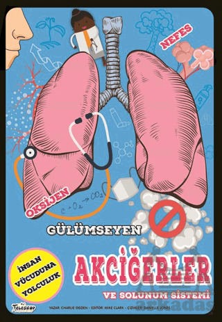 Gülümseyen Akciğerler Ve Solunum Sistemi - Teleskop Popüler Bilim