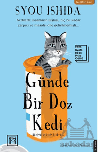 Günde Bir Doz Kedi - 1