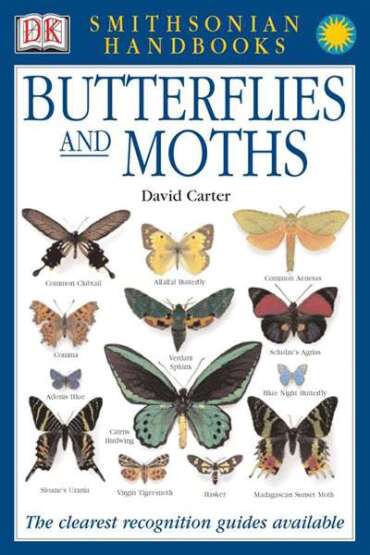 Handbooks: Butterflies & Moths - DK USA