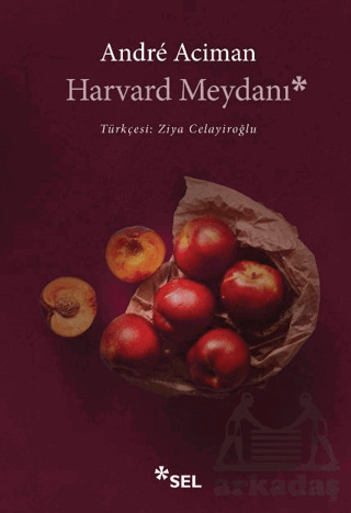 Harvard Meydanı - Sel Yayıncılık