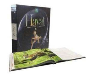 Hayat - Boyut Yayın Grubu