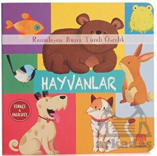 Hayvanlar - Uçan Fil Yayınları