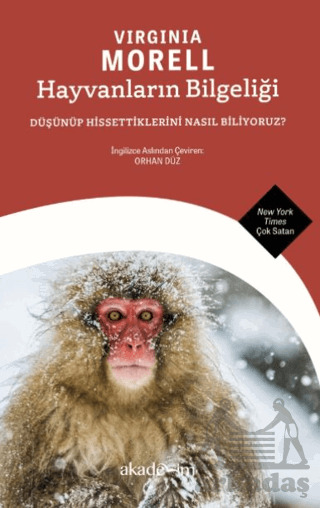 Hayvanların Bilgeliği: Düşünüp Hissettiklerini Nasıl Biliyoruz? - 1