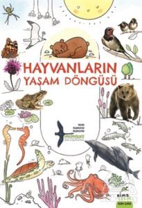 Hayvanların Yaşam Döngüsü - 1