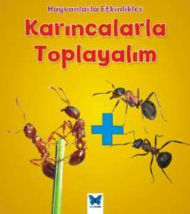 Hayvanlarla Etkinlikler - Karıncalarla Toplayalım - 1