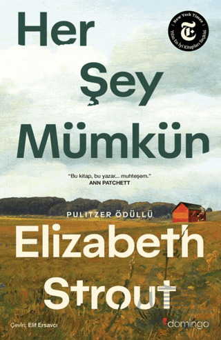 Her Şey Mümkün: Bir Lucy Barton Romanı - Domingo Yayınevi