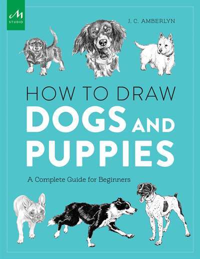 How To Draw Dogs And Puppies - Monacelli Studio UK