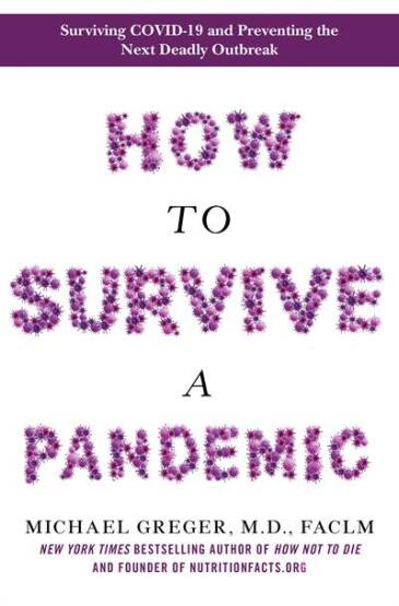 How to Survive a Pandemic - Bluebird Books