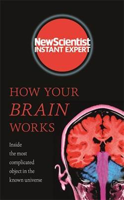 How Your Brain Works - John Murray