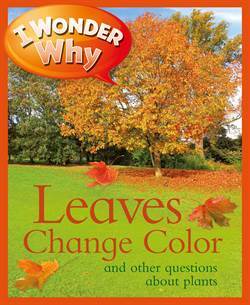 I Wonder Why The Leaves Change Color - 1