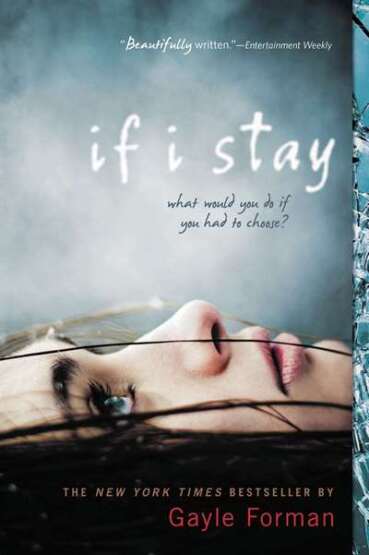 If I Stay - Speak USA