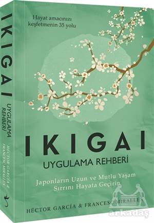 Ikigai - Uygulama Rehberi - 1