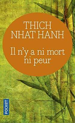 Il n'y a ni mort ni peur - Pocket FR