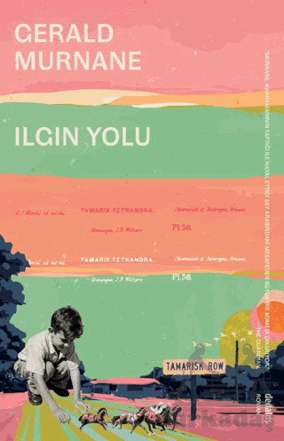 Ilgın Yolu - Dedalus Kitap