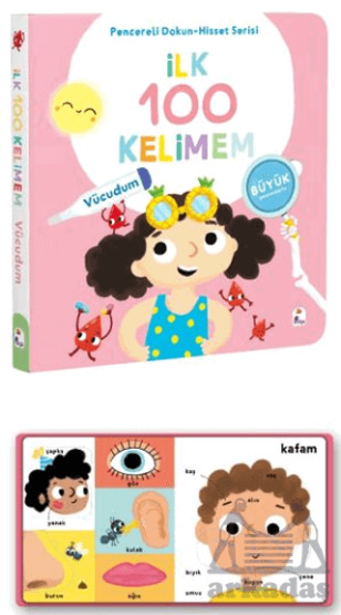 İlk 100 Kelimem – Vücudumuz (Pencereli Dokun-Hisset) - İndigo Çocuk