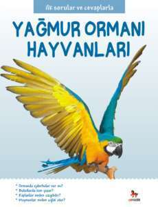 İlk Sorular ve Cevaplarla Yağmur Ormanı Hayvanları - Almidilli Yayınları