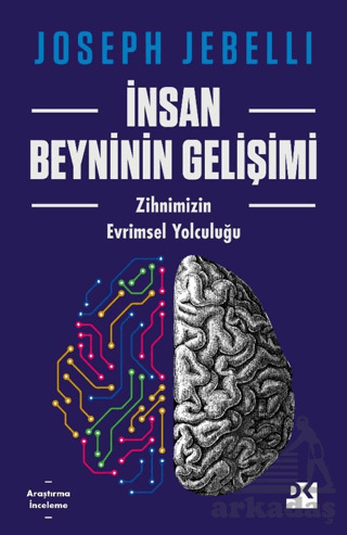 İnsan Beyninin Gelişimi - 3