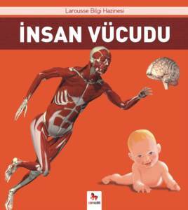 İnsan Vücudu - Almidilli Yayınları