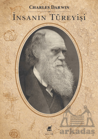 İnsanın Türeyişi - Ayrıntı Yayınları