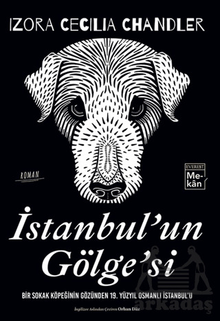 İstanbul'un Gölgesi - Everest Yayınları
