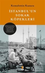 İstanbul'un Sokak Köğpekleri - 1