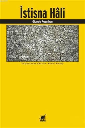İstisna Hali - Ayrıntı Yayınları