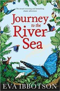 Journey to the River Sea - Macmillan UK