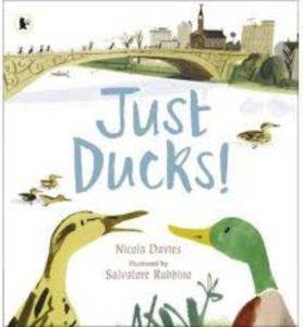 Just Ducks - Walker Books