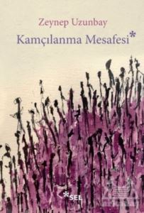 Kamçılanma Mesafesi - Sel Yayıncılık