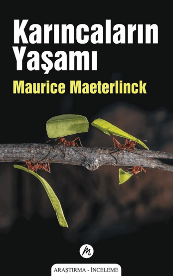 Karıncaların Yaşamı - 1