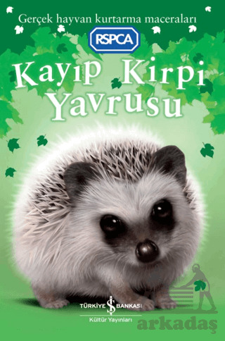 Kayıp Kirpi Yavrusu - 2