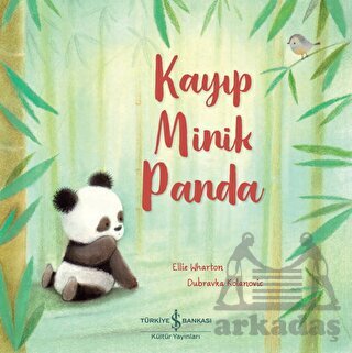 Kayıp Minik Panda - 1
