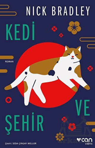 Kedi Ve Şehir - 1