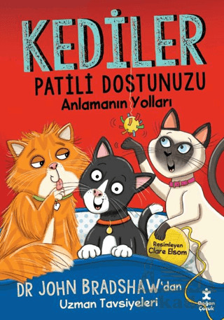 Kediler - Patili Dostunuzu Anlamanın Yolları - Doğan Çocuk