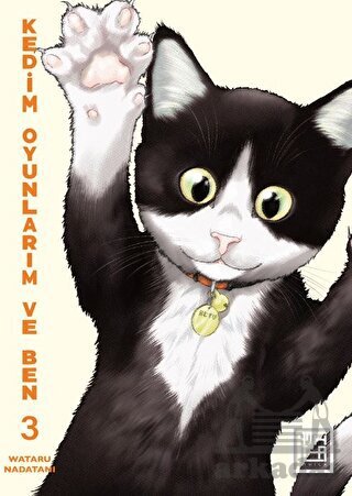 Kedim Oyunlarım Ve Ben 3 - Athica Yayınları