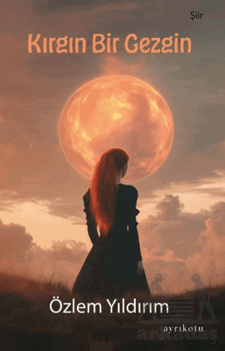 Kırgın Bir Gezgin - Ayrıkotu Yayınları