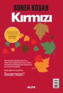 Kırmızı Anahtar - 1