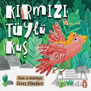 Kırmızı Tüylü Kuş - 1