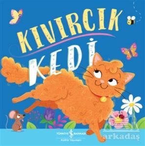 Kıvırcık Kedi - 1