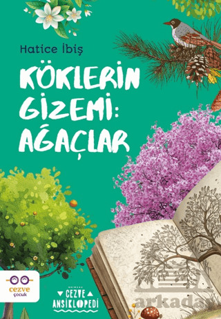 Köklerin Gizemi: Ağaçlar - Cezve Çocuk