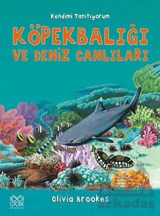 Köpek Balığına ve Diğer Deniz Canlılarına Soralım - 1
