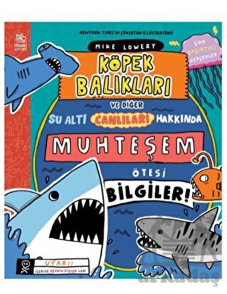 Köpek Balıkları Ve Diğer Su Altı Canlıları Hakkında Muhteşem Ötesi Bilgiler! - 1