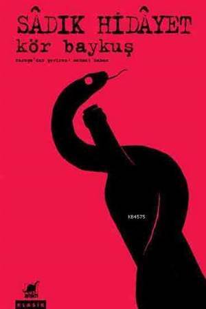 Kör Baykuş - Ayrıntı Yayınları