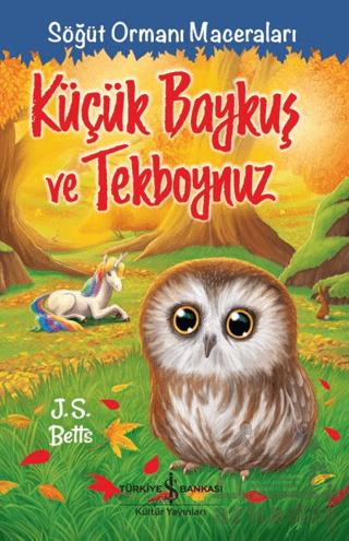 Küçük Baykuş Ve Tekboynuz – Söğüt Ormanı Maceraları