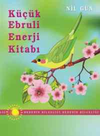 Küçük Ebruli Enerji Kitabı - 1