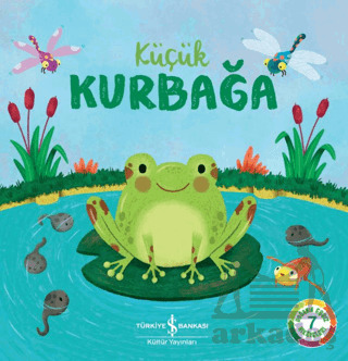 Küçük Kurbağa - İş Bankası Kültür Yayınları