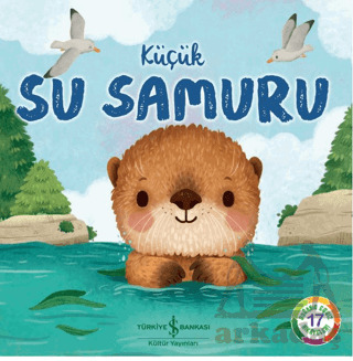 Küçük Su Samuru - 1