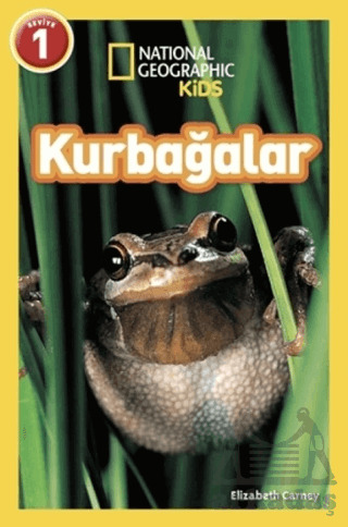 Kurbağalar - 1