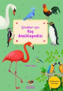 Kuş Ansiklopedisi - Çocuklar İçin - Ketebe