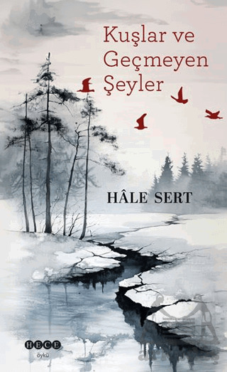 Kuşlar Ve Geçmeyen Şeyler - Hece Yayınları